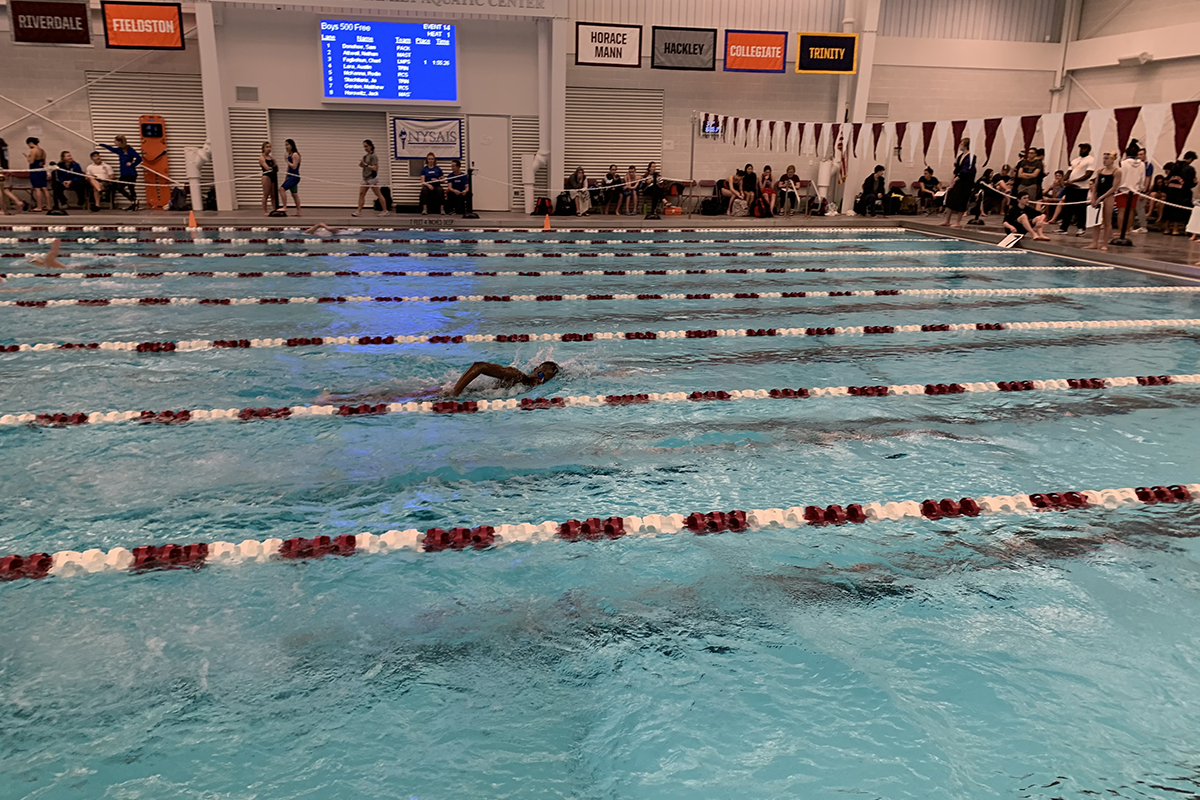 Swimmer in the pool